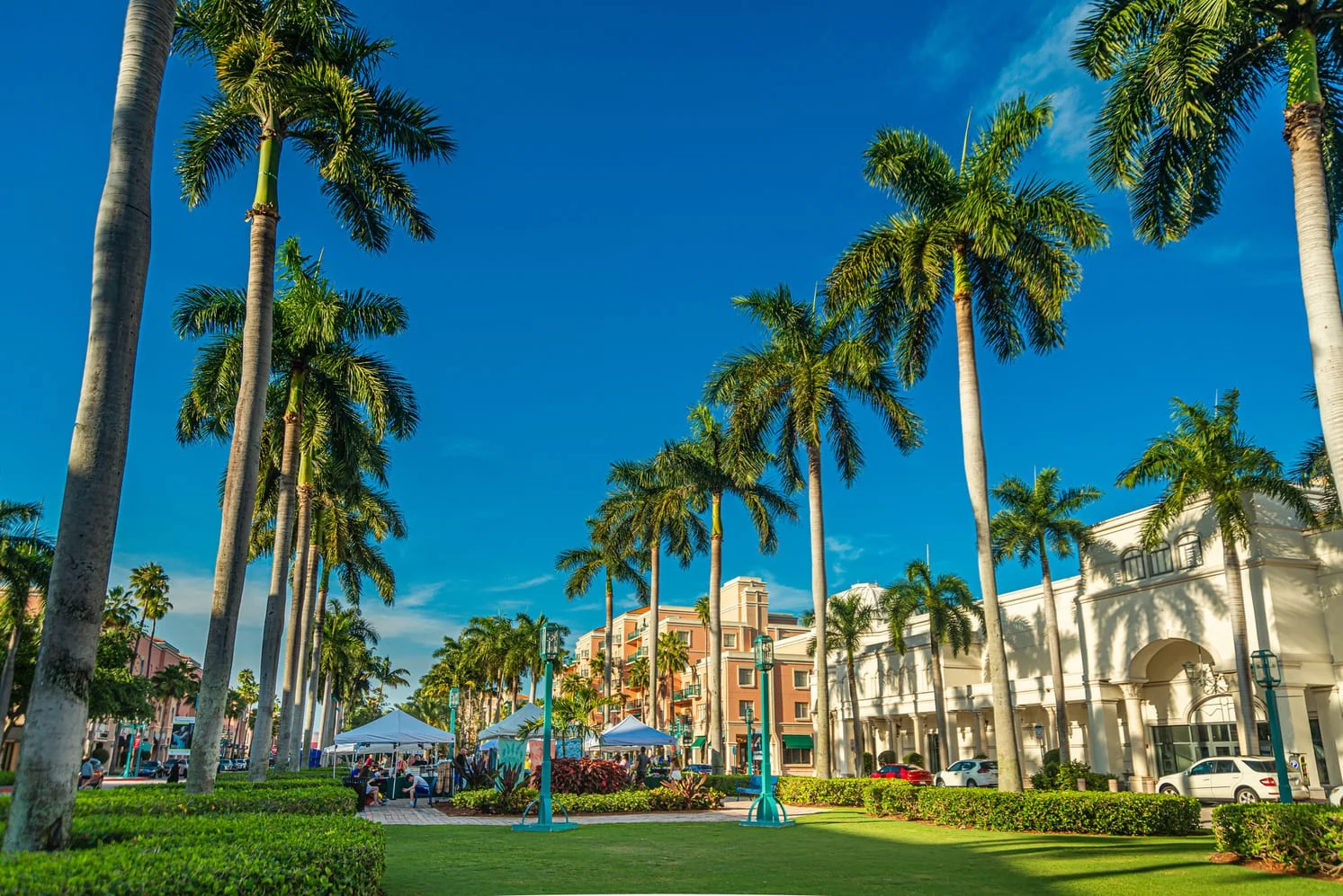 A scenic park with tall palm trees, people gathered under white tents, and pastel-colored buildings in the background under a clear blue sky.