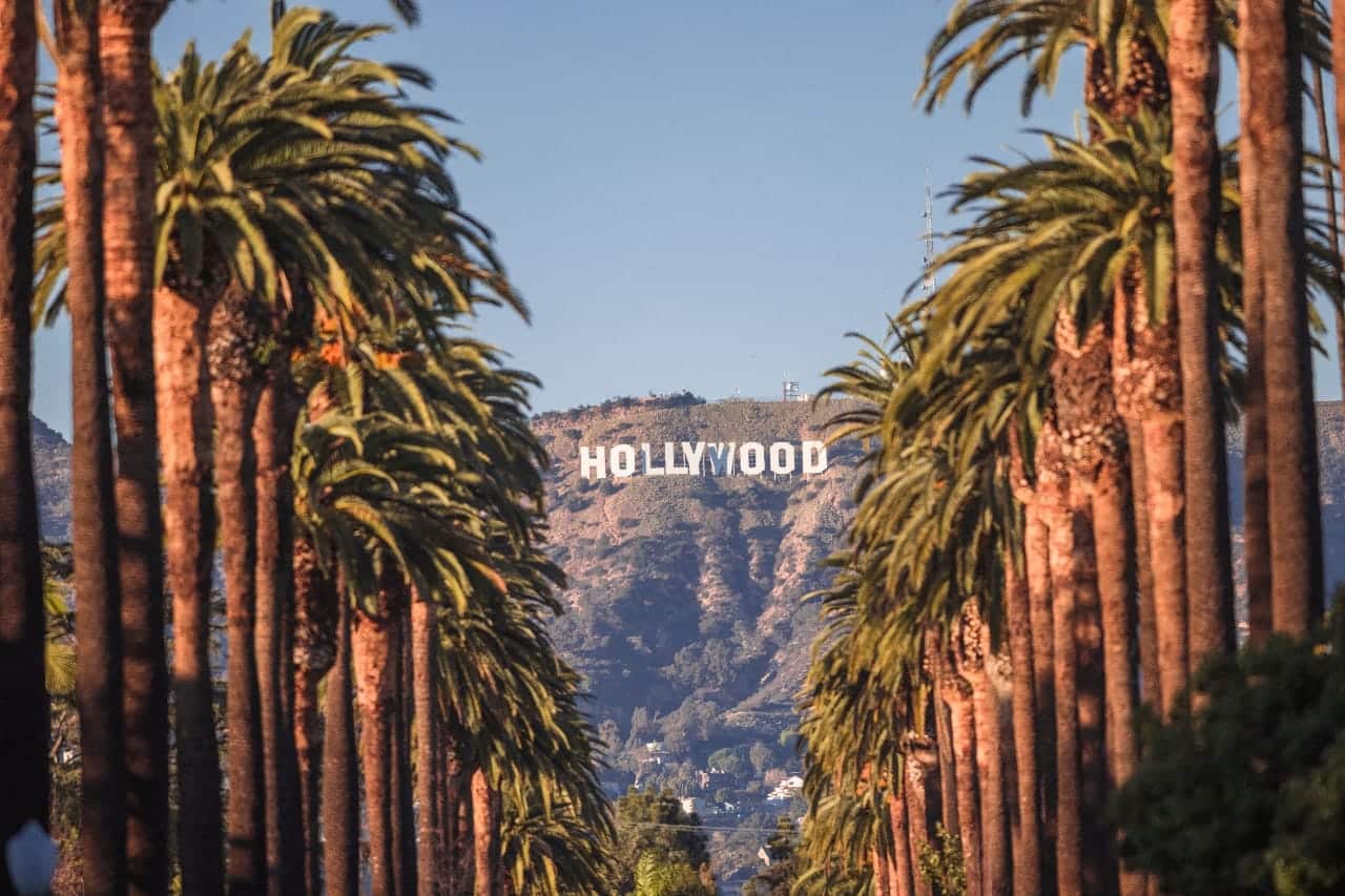 View of the famous Hollywood Sign on the hills, framed by two rows of tall palm trees in Los Angeles, California.